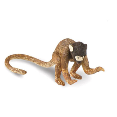 Tube - Les singes et grands singes