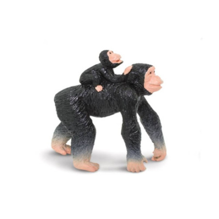 Tube - Les singes et grands singes