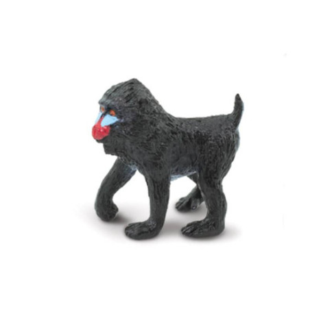 Tube - Les singes et grands singes