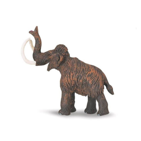 Tube - Vie préhistorique