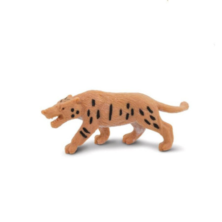 Tube - Vie préhistorique