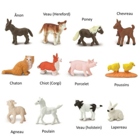 Tube - bébés animaux de la ferme Tube - bébés animaux de la ferme