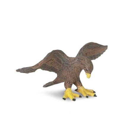 Tube - Les Galapagos