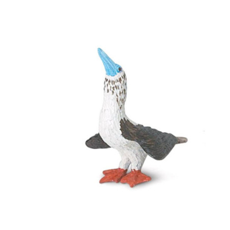 Tube - Les Galapagos