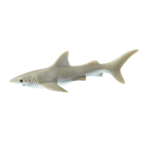 Tube - Les Galapagos