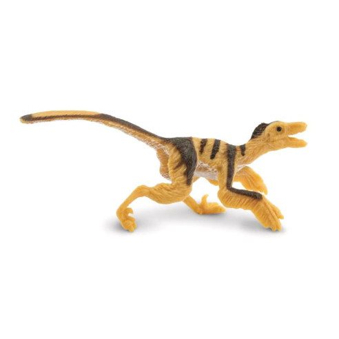 Tube - Dinosaures à plumes