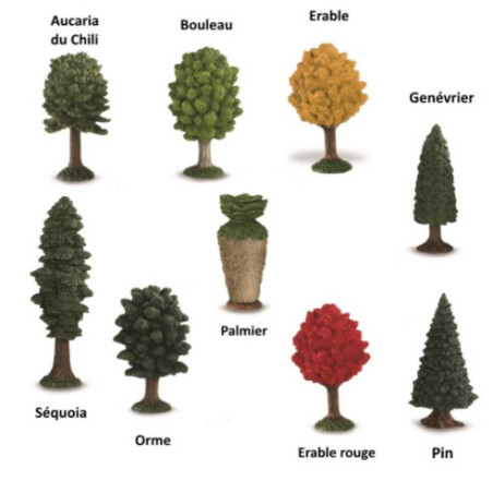 Tube - Arbres Tube - Arbres