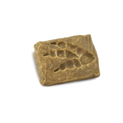 Tube - Les fossiles anciens