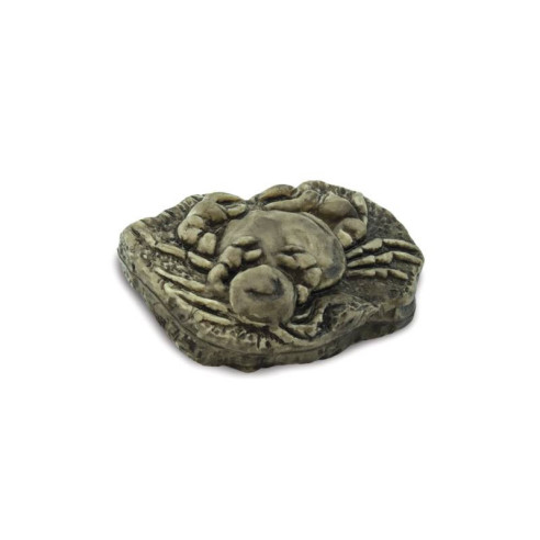 Tube - Les fossiles anciens