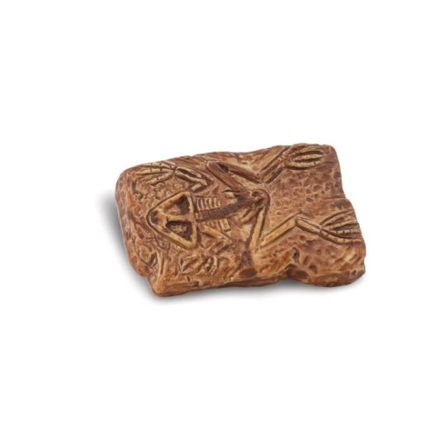 Tube - Les fossiles anciens