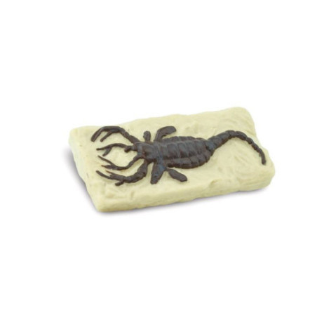 Tube - Les fossiles anciens