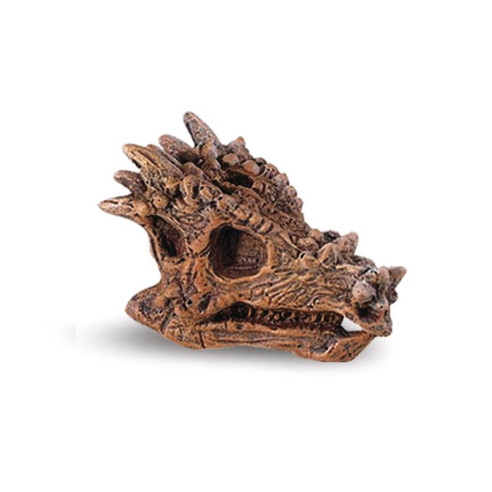 Tube - Crânes de dinosaures