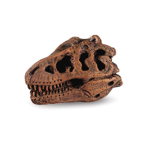 Tube - Crânes de dinosaures - Figurine Safari Ltd - Ambiance Montes...