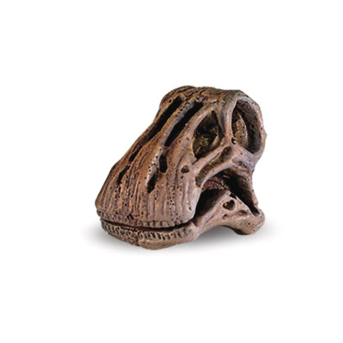 Tube - Crânes de dinosaures - Figurine Safari Ltd - Ambiance Montes...