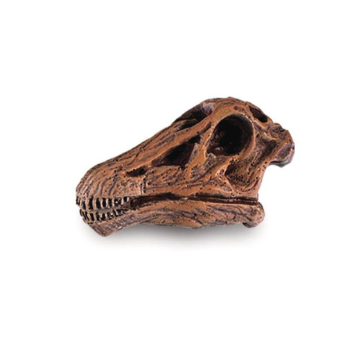 Tube - Crânes de dinosaures - Figurine Safari Ltd - Ambiance Montes...