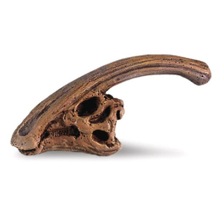 Tube - Crânes de dinosaures - Figurine Safari Ltd - Ambiance Montes...