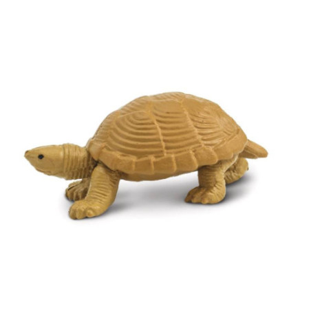 Tube - Grenouilles et tortues