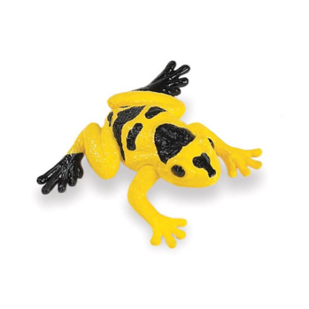 Tube - Grenouilles et tortues