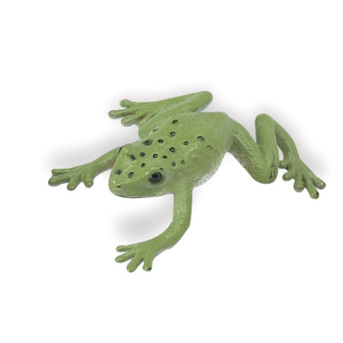 Tube - Grenouilles et tortues