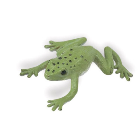 Tube - Grenouilles et tortues