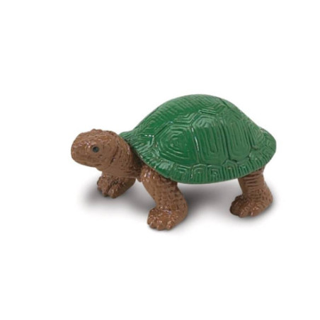 Tube - Grenouilles et tortues