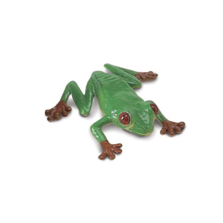 Tube - Grenouilles et tortues