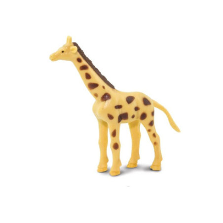 Tube - Animaux sauvages