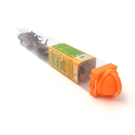 Tube - Faune nord-américaine