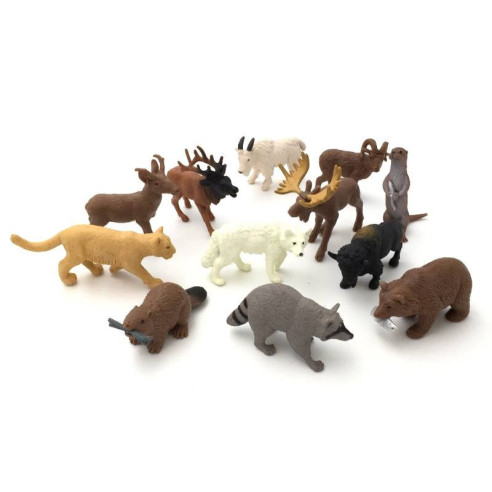 Tube - Faune nord-américaine