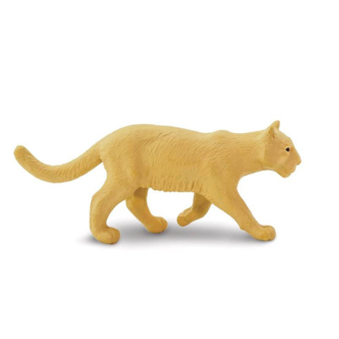 Tube - Faune nord-américaine