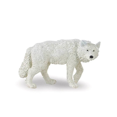 Tube - Faune nord-américaine