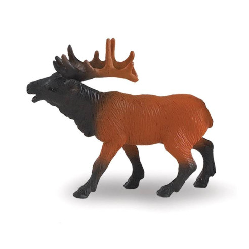 Tube - Faune nord-américaine