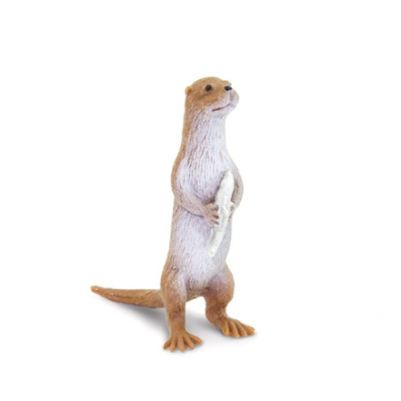 Tube - Faune nord-américaine