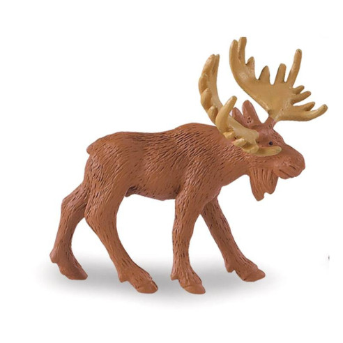 Tube - Faune nord-américaine