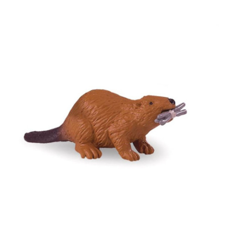 Tube - Faune nord-américaine