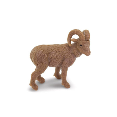 Tube - Faune nord-américaine