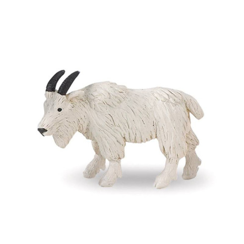 Tube - Faune nord-américaine