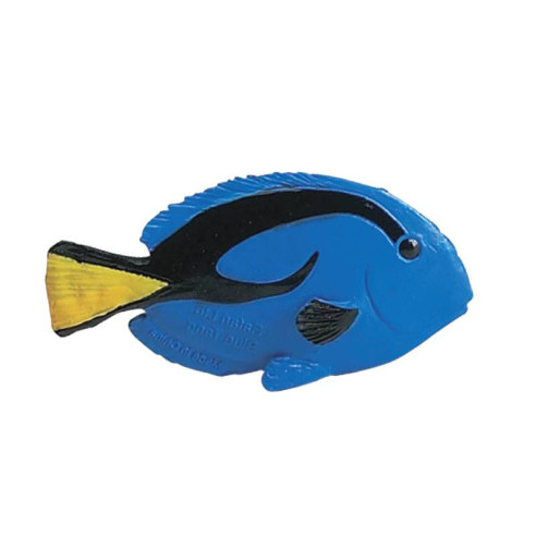 Tube - récif de corail