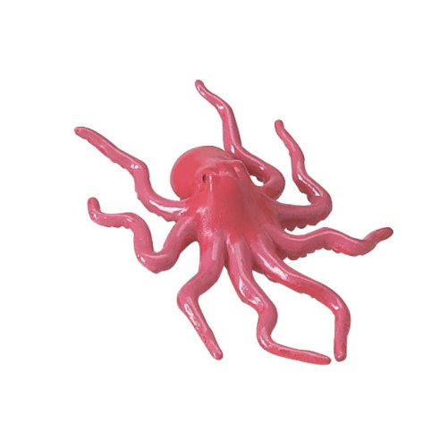 Tube - récif de corail