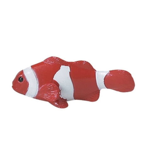 Tube - récif de corail