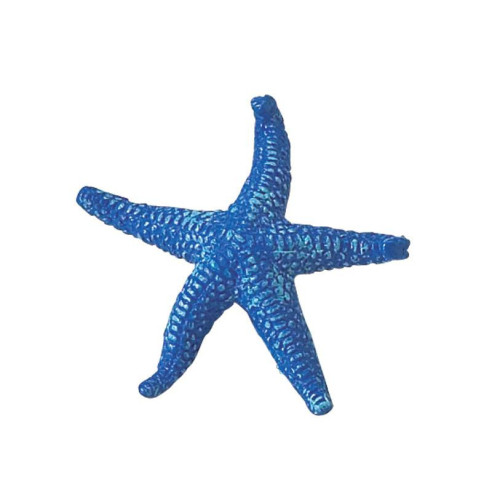 Tube - récif de corail