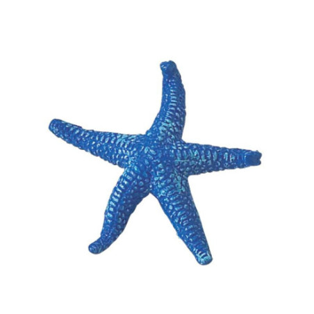 Tube - récif de corail