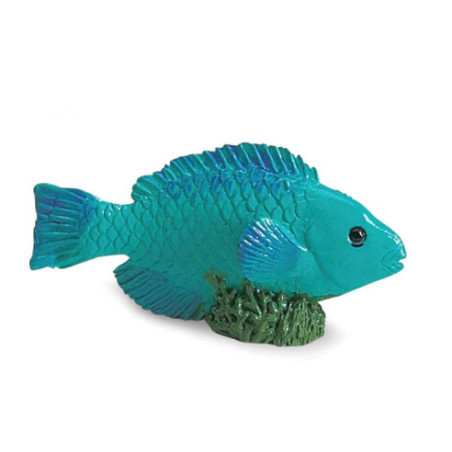 Tube - récif de corail