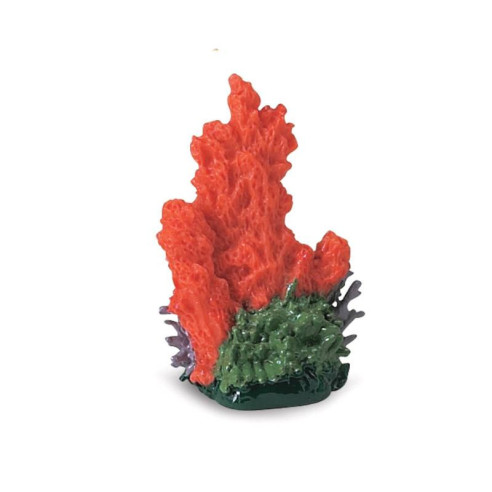 Tube - récif de corail