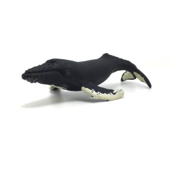 Animaux de l'Antarctique 2