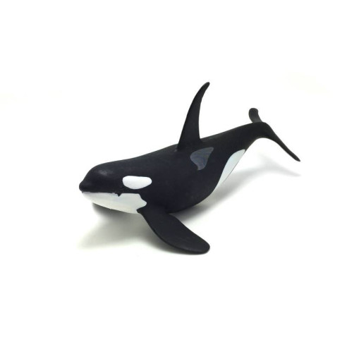 Animaux de l'Antarctique