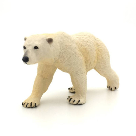 Animaux de l'Arctique