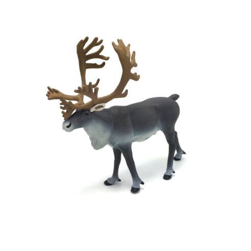 Animaux de l'Arctique