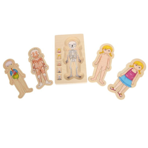 Puzzle à étages Anatomie Fille