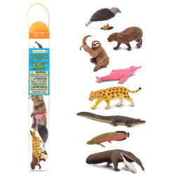 Tube - Amérique du Sud 2